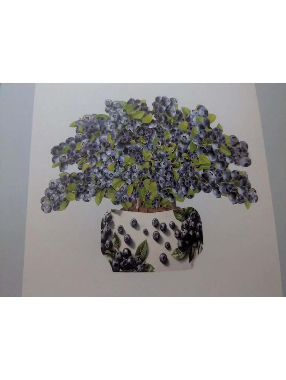 Popup card